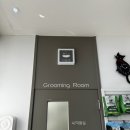 연이동물병원 이미지