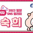 백마산칼국수 이미지