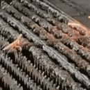 사마귀 vs 기계 전투 장면.gif 이미지