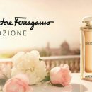 이모지오네 이미지