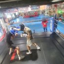 엘리트 체육관 이미지