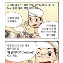 마이야르 이미지