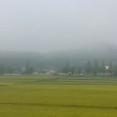 신촌마을 이미지