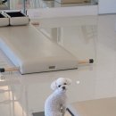 유필학원 | 창원 중동 어반브릭스 리유필라테스 찐단골 후기