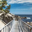 바다와 숲 이미지