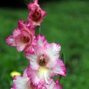 두성농장 이미지