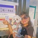 도산공원앞 일식 맛집 하마다 도산점