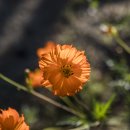 계양경기장 인라인스케이트장 이미지