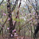 우천농장 이미지