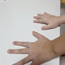 [25년 2분기] 학교체육 | 초니의 일상 기록 25년 4/4분기편1