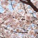 하늘마을로 이미지