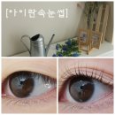 아이란속눈썹