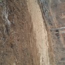 아담농장 이미지