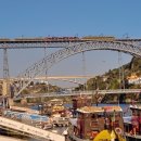 신의 젖줄 이미지