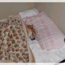 가야체육관 이미지