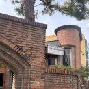 까사디차차 | 이천카페 이천예쁜카페 베이커리카페 이천소금빵맛집 에그타르트 이천여행 디저트 커피맛집