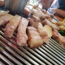 강남애니동물메디컬센터