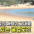 [Full] 한국기행 - 그 여름의 끝에 섬 제4부 별보다 굴업도 이미지