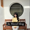 경주 인스타 감성 황리단길 한옥 숙소 추천 : 스테이 인연 연C 타입 방문 후기 !