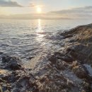 안녕오토캠핑장 이미지