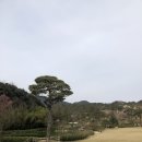 함파우길 이미지