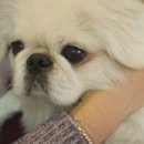 강호농장 이미지