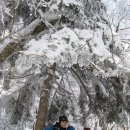 한라산(영실-어리목)눈꽃산행&올레길 이미지