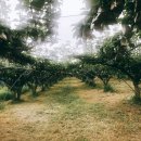 승승농장 이미지