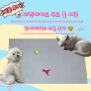 마루비엔비엔 | [제품후기]🐶 안심할 수 있는 착한 강아지 매트, 미끄럼방지매트 💛 비엔메이드 매트 후기 🧡