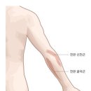 S 토탈휘트니스 이미지