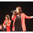 레드폭스 이미지