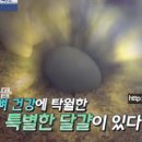 참좋은 백봉오골계농장 이미지