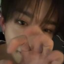 도리도리 이미지