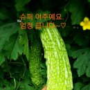 도랑골 이미지