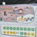 자연속캠핑장 | 원주캠핑장 자연 속 힐링의 시간 원주두리캠핑장 후기🌿