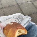 독도객잔 | 추석연휴 포항 가볼만한곳 1박2일 여행코스