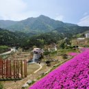 산청명상참된명상 이미지