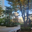 정은 공인중개사사무소 이미지