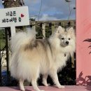 엔젤하우스 이미지