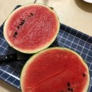 섬강농원 이미지