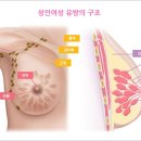 반월마리아유의원 이미지