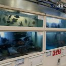 사랑도횟집 이미지