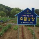 준2농장 이미지