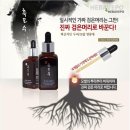 헤바베오 (Hebavepo)