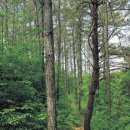 복내면사무소 이미지