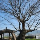 문주2리 이미지