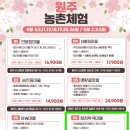 청정학곡마을 | 원주 청정학곡마을 농촌체험 후기