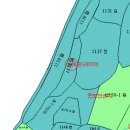 완도공인중개사사무소 이미지