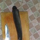 복상골낚시터 이미지