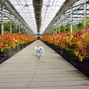 미르네농장 이미지